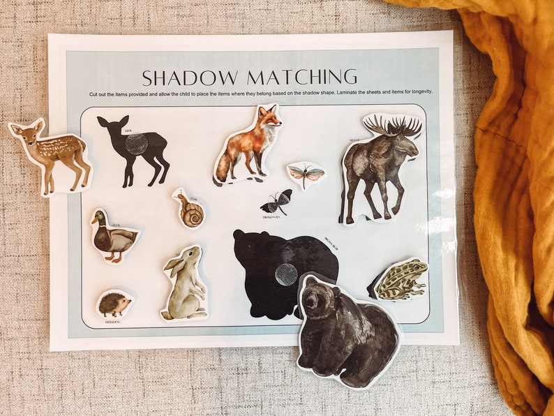 Wild animal shadow matching preschool lessons and activity.