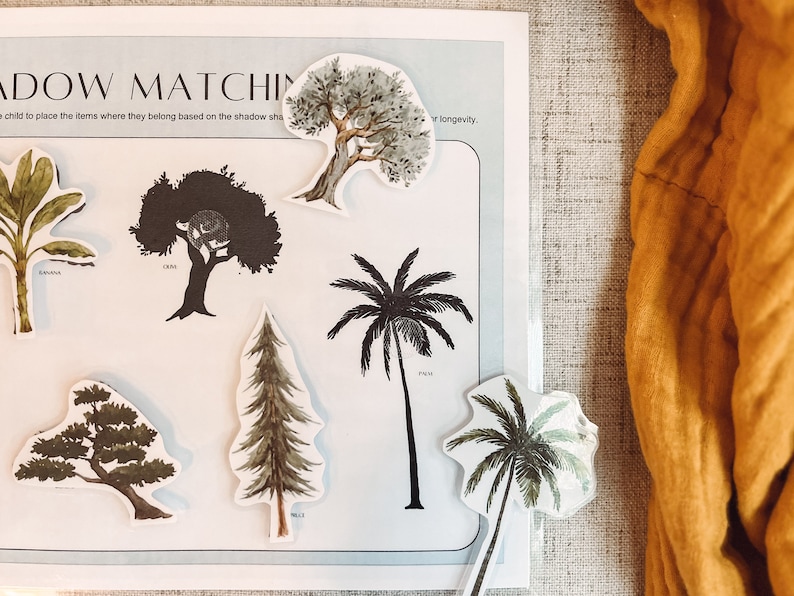 Watercolor plants and trees for matching game. Tree shadows game.