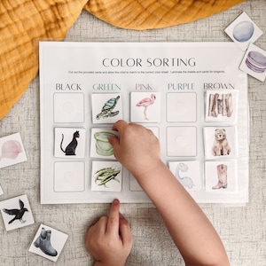 Activité de tri des couleurs - intercalaire occupé - programme préscolaire - ressources pour l'enseignement à domicile - apprentissage des tout-petits - téléchargement numérique imprimable