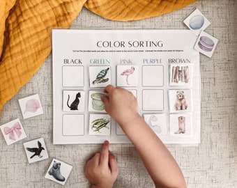 Color Sorting Activity - Busy Binder Insert - Preschool Curriculum - Homeschooling Resources - Toddler Learning - Digital Printable Download