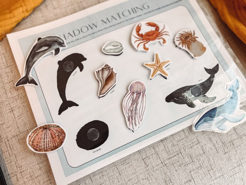 Ocean life activity for toddlers. Match to correct place, fun nature game activity.