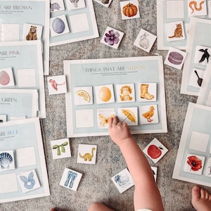 Activité pour tout-petits de tri des couleurs - intercalaire occupé - leçon d'enseignement à domicile - programme d'études prématernelle - imprimable