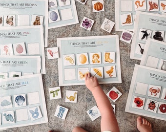 Color Sorting Toddler Activity - Busy Binder Insert - Homeschooling Lesson -PreKindergarten Curriculum - Printable