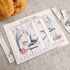 Sommer Strand Digital Bundle - Memory-Spiel - Muschel Passende Karten - Puzzlestreifen Aktivität - Schattenübereinstimmung - Strand Bingo - Printable