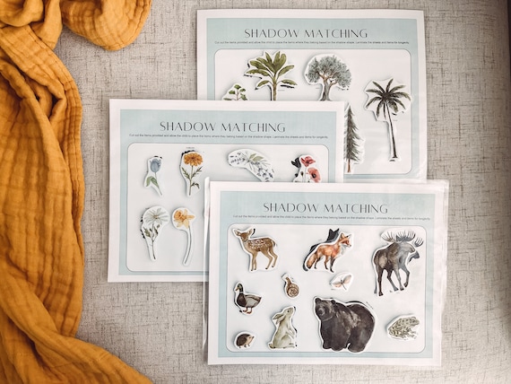 Busy Binder Insert - Shadow Matching Activity - Toddler and Preschooler - Homeschooling Resource - Printable Download