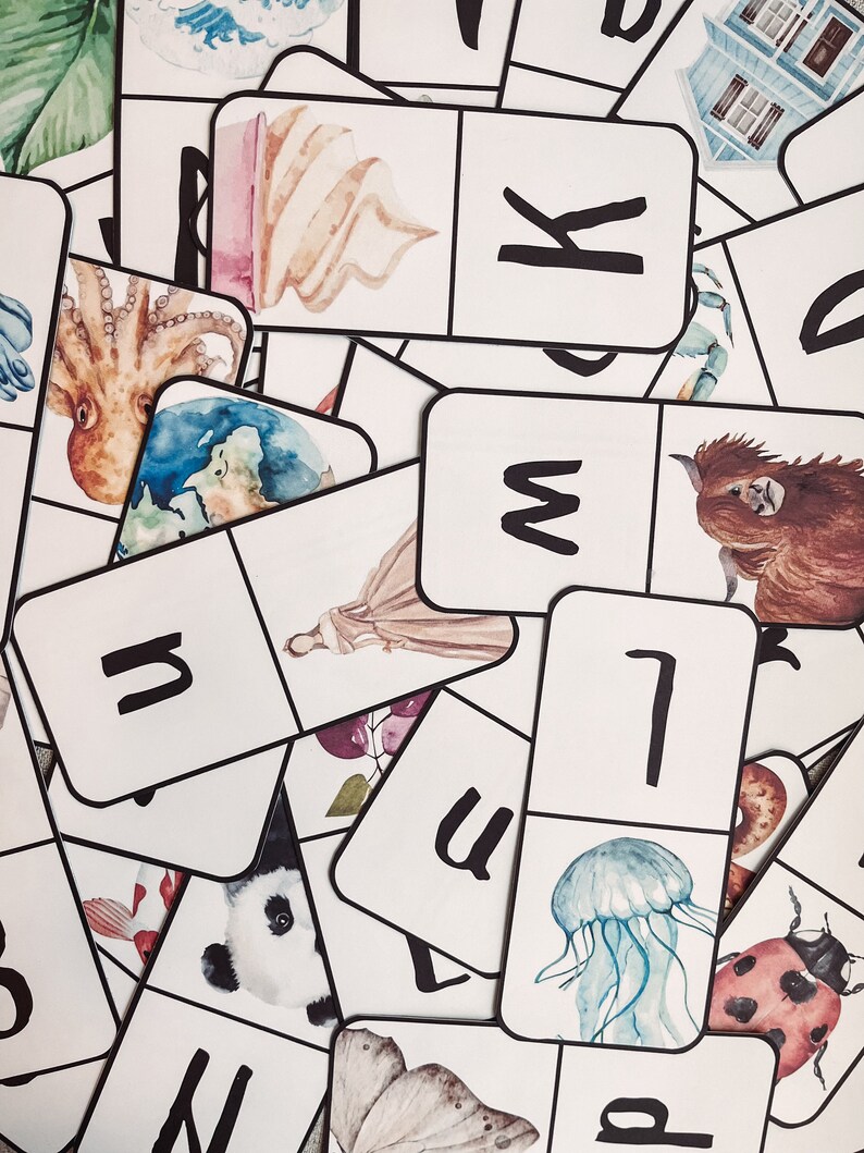 Pu&ograve; includere: Un set di tessere con lettere dell'alfabeto e illustrazioni ad acquerello. Ogni tessera presenta una lettera e un'immagine corrispondente, come una medusa, un polpo, una farfalla e un panda.