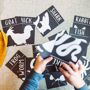 24 Flashcards per bambini - Animali ad alto contrasto in bianco e nero - Schede didattiche per l'apprendimento dei bambini - Attività coinvolgente per bambini - Stampabili