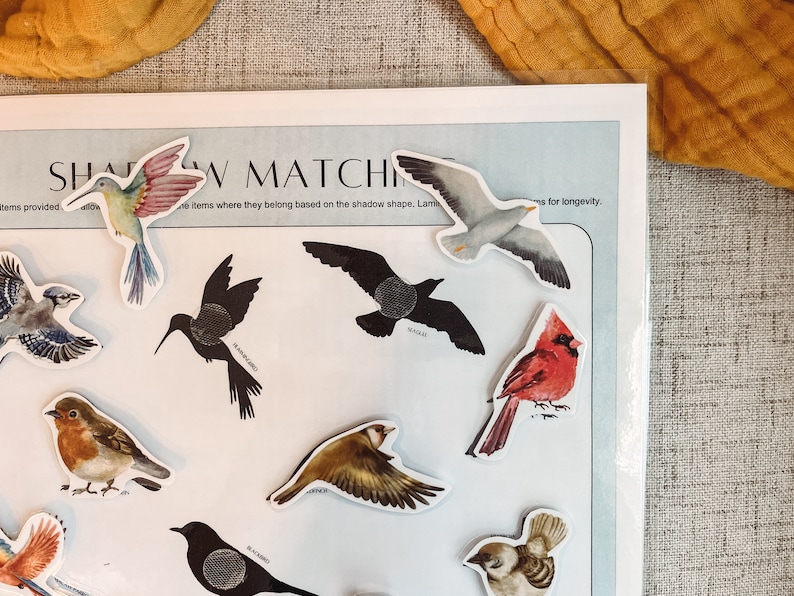 Bird Matching game for young children and homeschooling. Watercolor bird pictures.