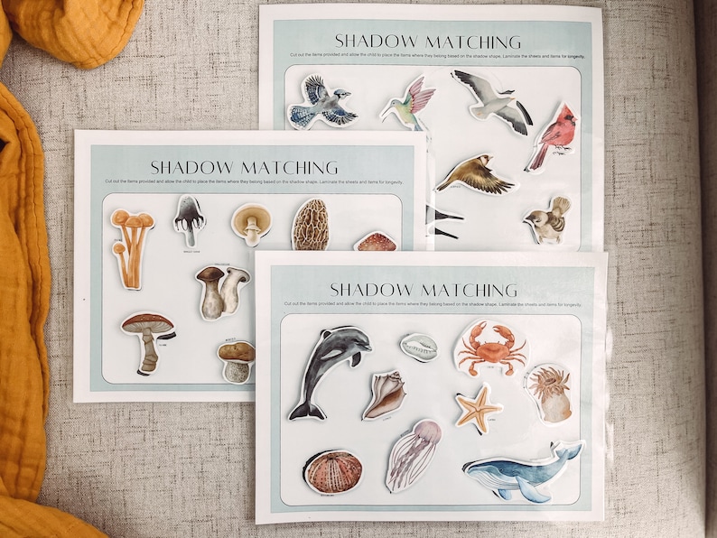 Shape matching if all six shadow activity pages.