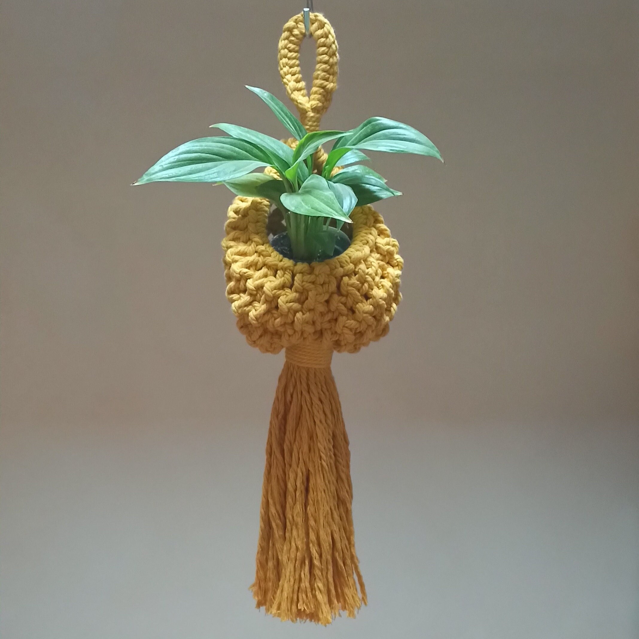 Suspension Pour Mini Plantes