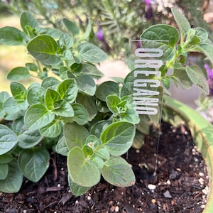 Herb Picks - Herb Stakes - Garden Décor - SINGLE Stake