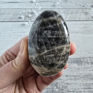 Pietre a disco di pietra di luna 83g Pietra di palma n. 4