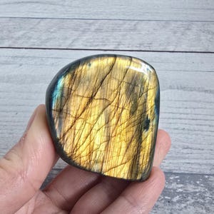 Mini labradorite 109g Superficie di appoggio a forma libera #88