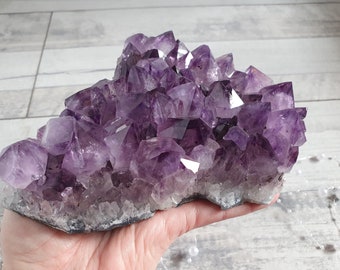 Amethyst Druse 1,2kg Uruguay Naturstufe Geode