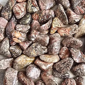 Può includere: Una collezione di pietre di diaspro leopardo burattate in varie forme e dimensioni. Le pietre presentano un mix di colori, tra cui beige, marrone, rosa e nero, con motivi e texture unici. Queste pietre naturali sono ideali per la creazione di gioielli o il collezionismo.