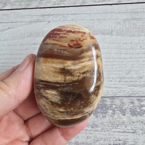 Könnte beinhalten: Ein polierter, oval geformter Stein mit einer Mischung aus Braun-, Beige- und Rotbrauntönen. Der Stein hat eine glatte, glänzende Oberfläche und ein gebändertes Muster, das natürliche Farb- und Texturvariationen zeigt. Der Stein wird in einer Hand gehalten.