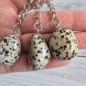 Dalmatinerjaspis Schlüsselanhänger Erinnerungsstein