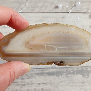 Op de afbeelding: Een gepolijste agaat schijf met concentrische banden van wit, beige en bruin. De natuursteen heeft een glad, glanzend oppervlak. De agaat schijf is een decoratief item, vaak gebruikt voor onderzetters of display.