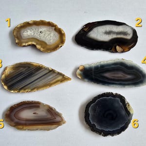 Può includere: Sei fette di agata lucidata in varie forme e colori. Le fette presentano bande concentriche di marrone, bianco, nero e grigio. Ogni fetta ha un motivo unico e un bordo naturale, che mette in risalto la bellezza della pietra.