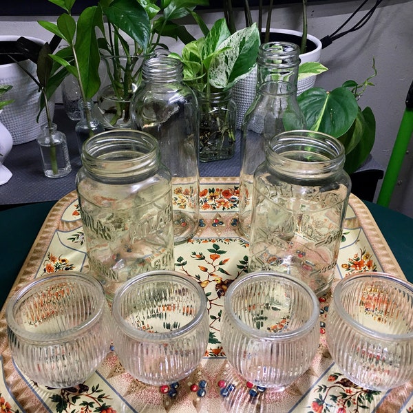 Glass Propagation Etsy