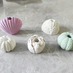 Peut inclure: Cinq petits vases décoratifs en céramique de différentes formes et couleurs. Les vases sont en forme de coquille, de fleur et de deux oursins. Un oursin est blanc et l'autre est vert clair.