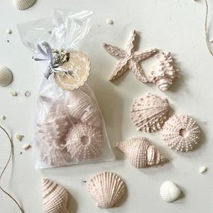 Seashell Soaps, Beach Party Favors, coastal theme image 8