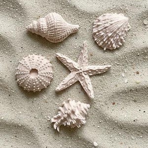 Seashell Soaps, Beach Party Favors, coastal theme image 4