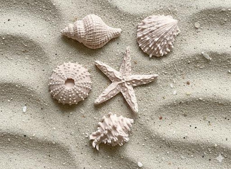 Seashell Soaps, Beach Party Favors, coastal theme image 4
