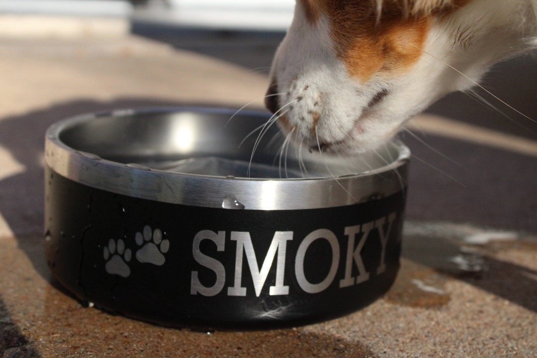Custom Engraved Pet Bowl PAWS & NAME Dog Bowl or Cat Bowl Etsy