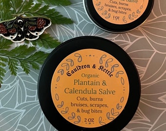 Salve of Plantain Calendula Moisturize Dry Skin