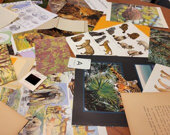 Theme -animals- Vintage ephemerals for: Scrapbook, Junk journal, Paper pack, Paper journal. -animals- Ephemera Vintage for Scrapbook.