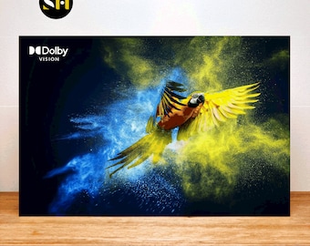 May include: A yellow and orange parrot with blue and yellow powder flying in front of a dark background. The text "Dolby Vision" is in the top left corner of the image.