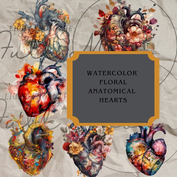 Watercolor Floral Anatomical Hearts