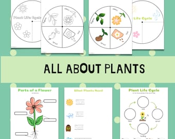 kids science lesson etsy
