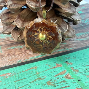 May include: A circular pendant crafted from a slice of a brown pine cone, featuring a central gold-toned metal stud. The pendant is suspended from a thin, dark brown cord and displays a natural, glossy finish with visible wood grain patterns.