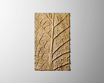 May include: A close-up of a textured, brown leaf with a raised vein pattern.