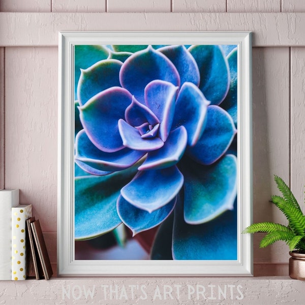 Home Decor Refresh Succulent Printable, Instant Download DIY Art Print, Printable Photo, Succulent Art Print, Digital Prints, Southwest Art