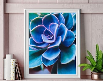 Home Decor Refresh Succulent Printable, Instant Download DIY Art Print, Printable Photo, Succulent Art Print, Digital Prints, Southwest Art