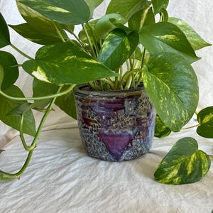 May include: A potted pothos plant with vibrant green and yellow variegated leaves. The plant is in a decorative ceramic pot with a textured, dark purple and blue glaze. The plant's vines are visible.