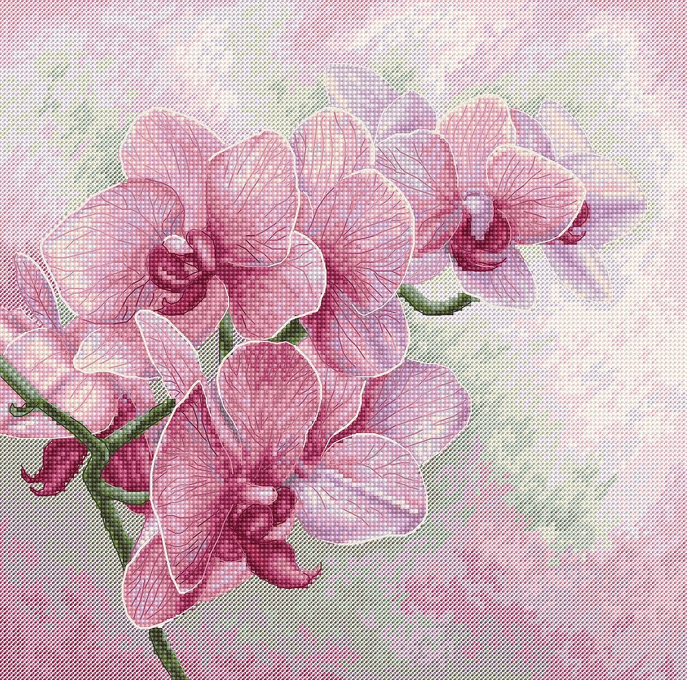 Stamped Cross Stitch Kits Beginners DIY Art Crafts,Orchid flower,Needlepoint Full Range of Cross-Stitching for Adults Embroidery for Home Decor & Gifts 16x20 inch Printed 11CT 