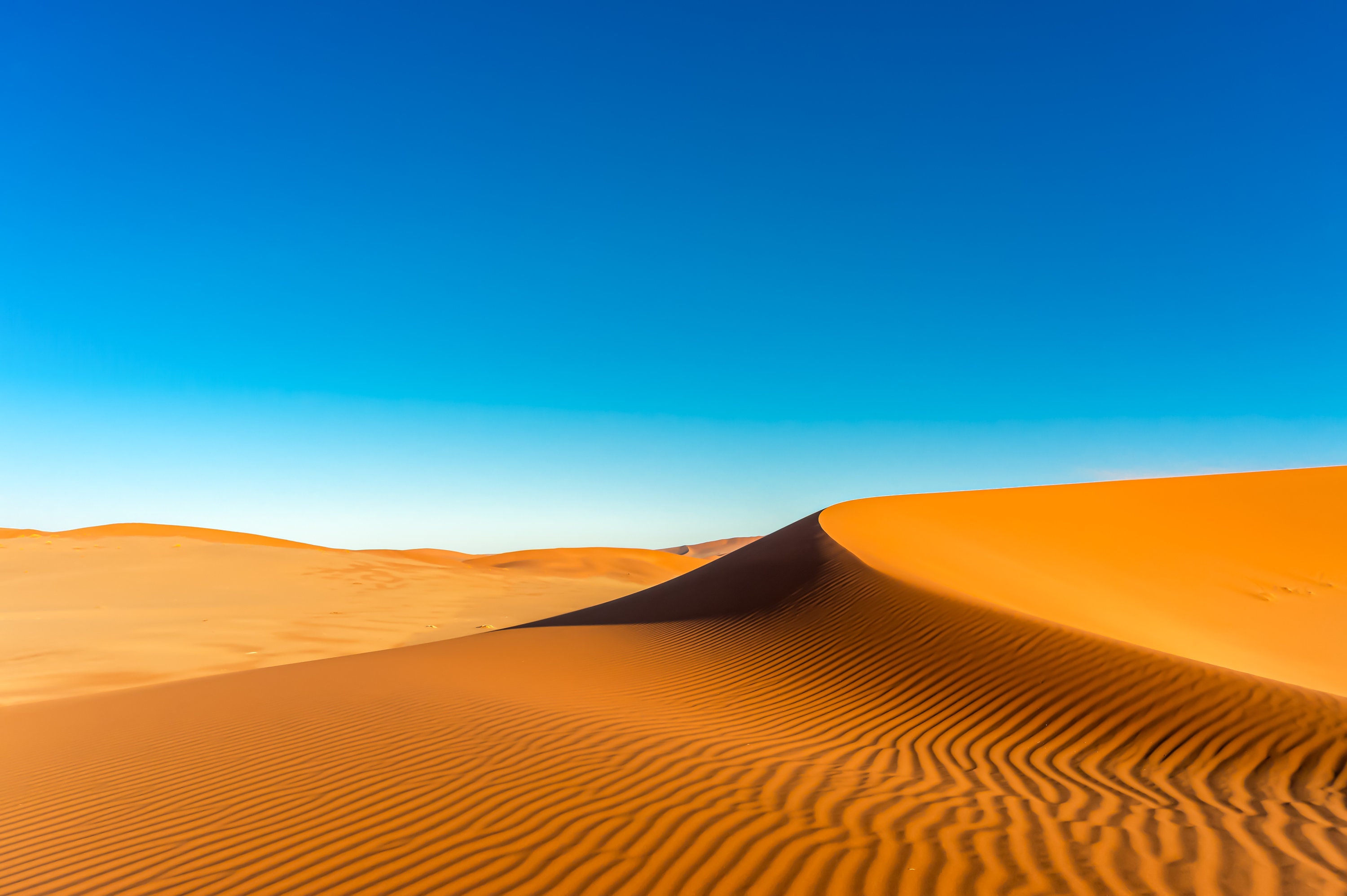 Sossusvlei Sand Dune canvas Wall Art early Morning Serenity namib
