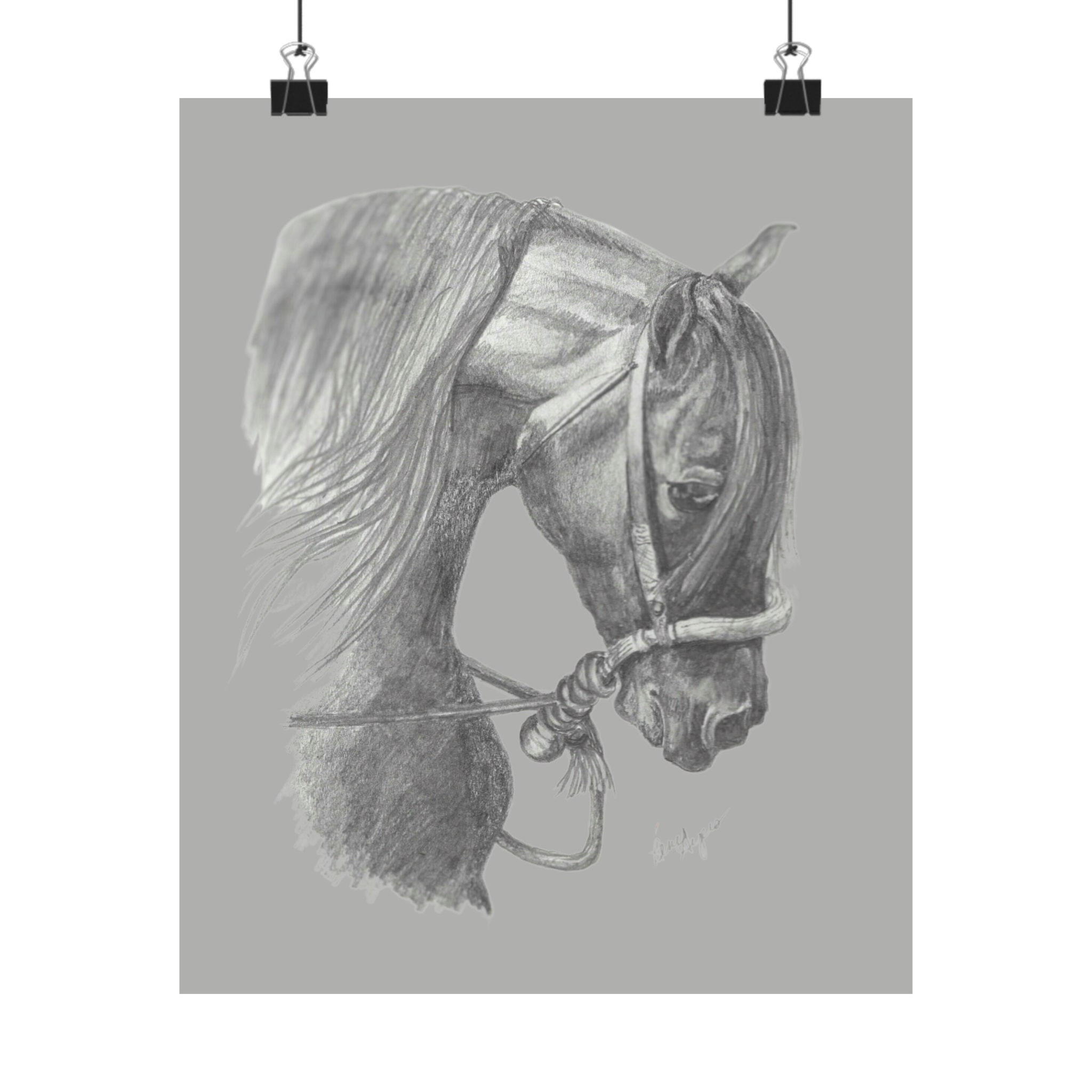 Bosal Horse — Clara Smith Art and Design