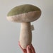 see more listings in the Champignons section