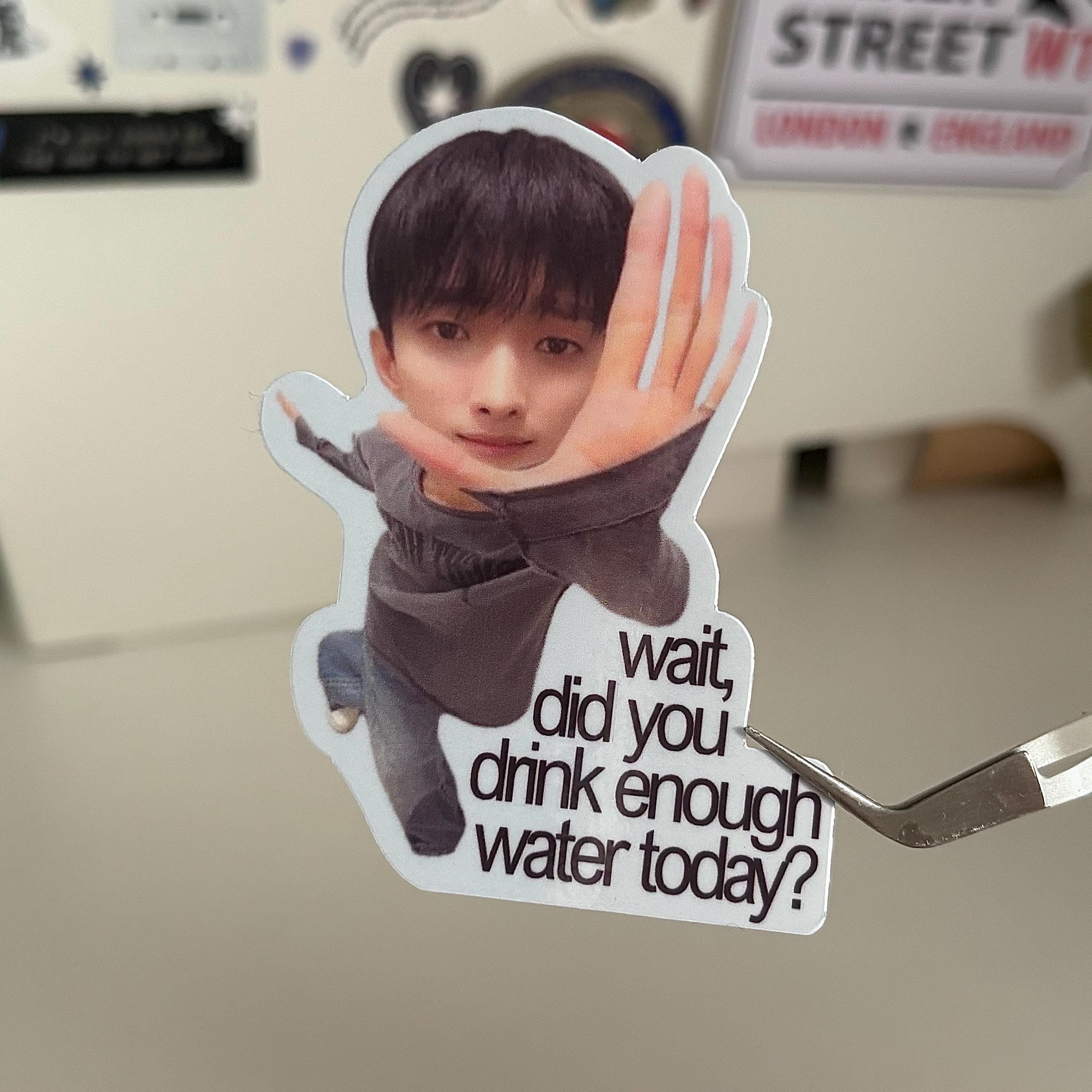 Seventeen DK Drink Water Sticker: Kpop Meme, Waterproof, Hydration