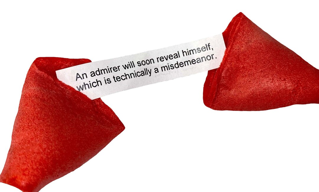 Funny Fortune Cookies Miss Fortunes the Dirty Dozen Show Etsy