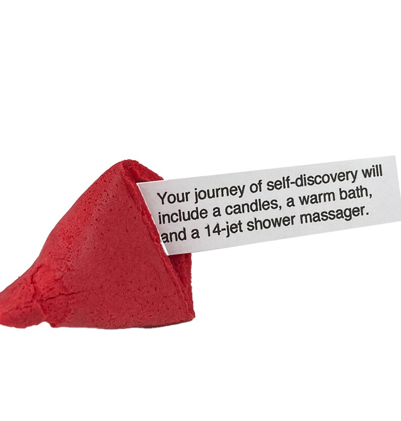 Funny Fortune Cookies Miss Fortunes the Dirty Dozen Show Etsy