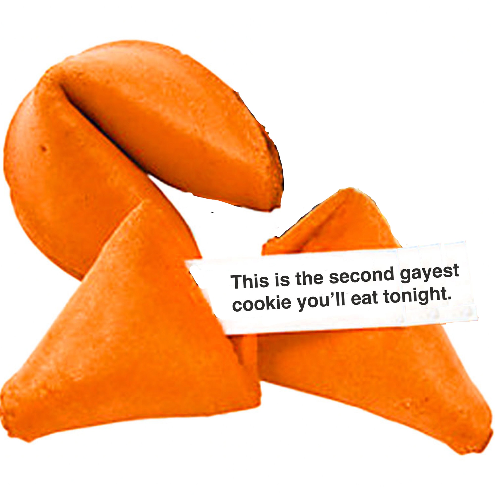 Funny Fortune Cookies Miss Fortunes the Pride Dozen You Etsy