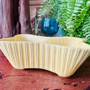 May include: A pale yellow ceramic planter with a fluted design. The rectangular planter has a curved shape and is sitting on a wooden surface. The planter is empty and ready for plants.