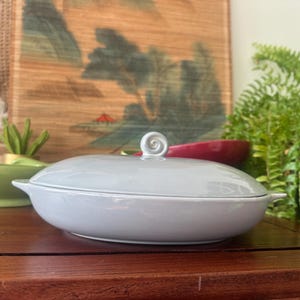 May include: A light gray oval serving dish with a matching lid. The lid features a spiral-shaped handle. The dish is on a wooden surface, with a green cup and a red bowl in the background.