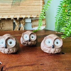 May include: Three small, brown owl figurines with large, round eyes and a textured surface. The owls are arranged on a wooden surface, with a woven background and greenery in the background. The owl figurines are a decorative item.